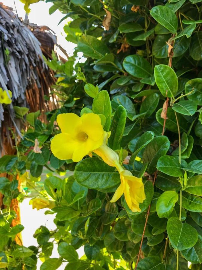 Pousada Aruna Kite Barra Grande  Eksteriør bilde