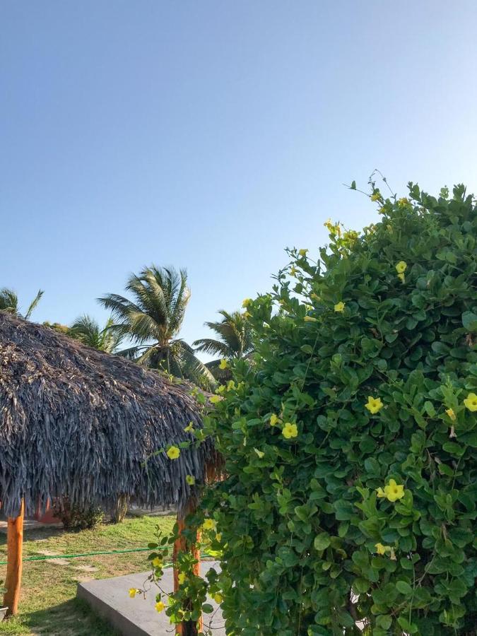 Pousada Aruna Kite Barra Grande  Eksteriør bilde